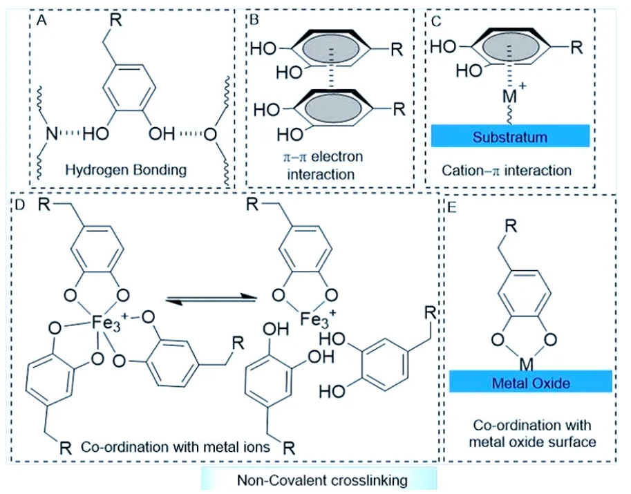 Non-covalent
